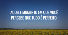 Aquele momento em que você percebe que tudo é perfeito.