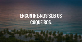 Encontre-nos sob os coqueiros.
