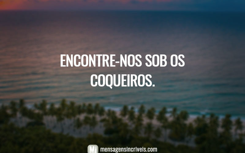 Encontre-nos sob os coqueiros.