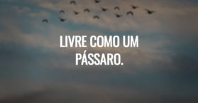 Livre como um pássaro.