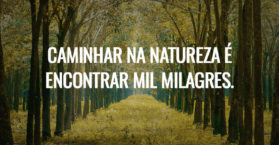 Caminhar na natureza é encontrar mil milagres.