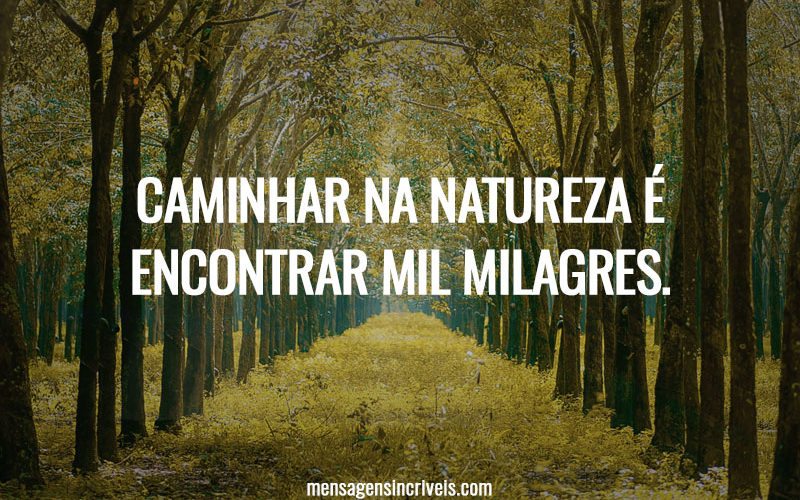 Caminhar na natureza é encontrar mil milagres.