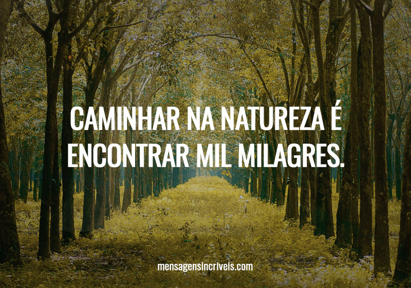 Caminhar na natureza é encontrar mil milagres.