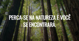 Perca-se na natureza e você se encontrará.