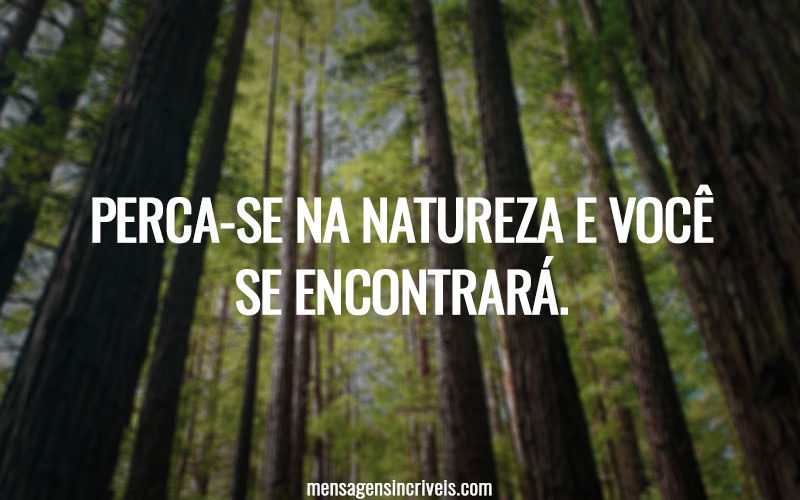 Perca-se na natureza e você se encontrará.