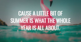 Cause a little bit of summer is what the whole year is all about.