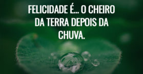 Felicidade é... o cheiro da terra depois da chuva.