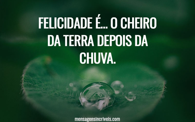 Felicidade é... o cheiro da terra depois da chuva.