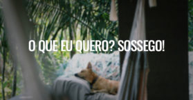 O que eu quero? Sossego!