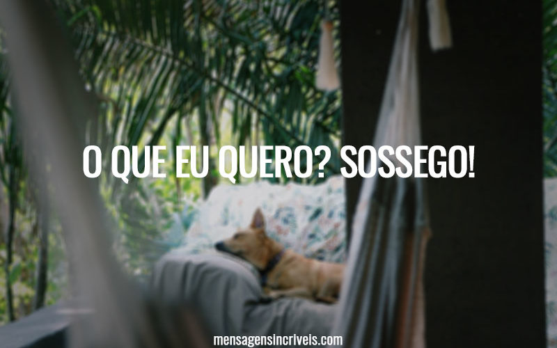 O que eu quero? Sossego!