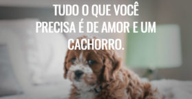 Tudo o que você precisa é de amor e um cachorro.