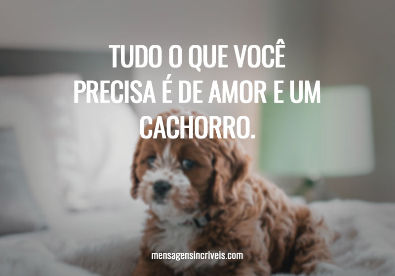 Tudo o que você precisa é de amor e um cachorro.