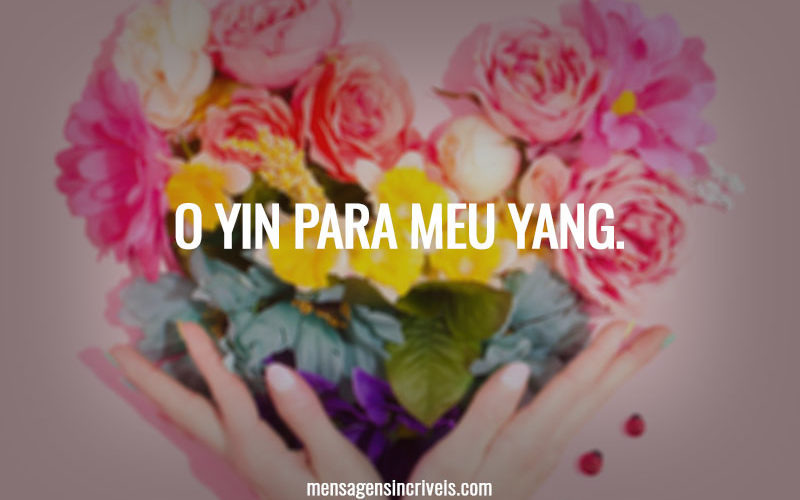 O yin para meu yang.