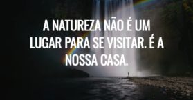 A natureza não é um lugar para se visitar. É a nossa casa.