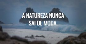 A natureza nunca sai de moda.