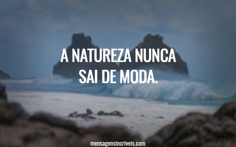 A natureza nunca sai de moda.