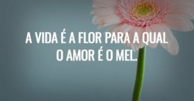 A vida é a flor para a qual o amor é o mel.