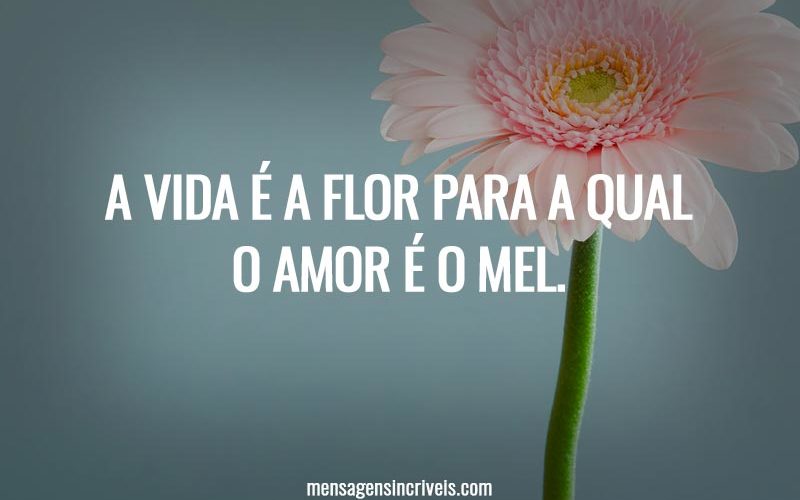 A vida é a flor para a qual o amor é o mel.