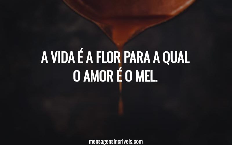 A vida é a flor para a qual o amor é o mel.
