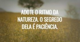 Adote o ritmo da natureza. O segredo dela é paciência.