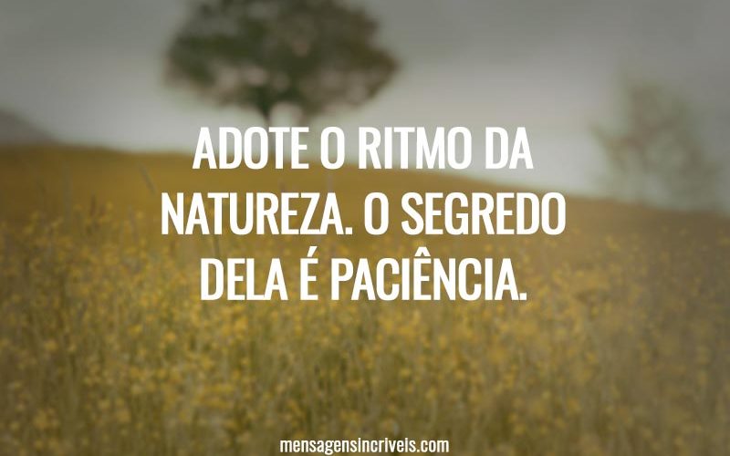 Adote o ritmo da natureza. O segredo dela é paciência.