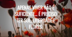 Apenas viver não é suficiente... É preciso ter sol, liberdade e flores.