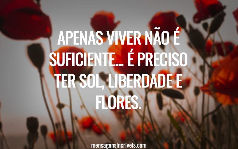 Apenas viver não é suficiente... É preciso ter sol, liberdade e flores.