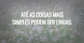 Até as coisas mais simples podem ser lindas.