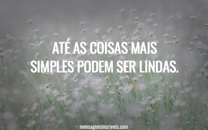 Até as coisas mais simples podem ser lindas.