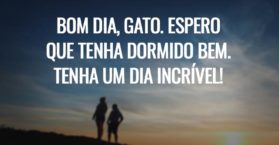 Bom dia, gato. Espero que tenha dormido bem. Tenha um dia incrível!