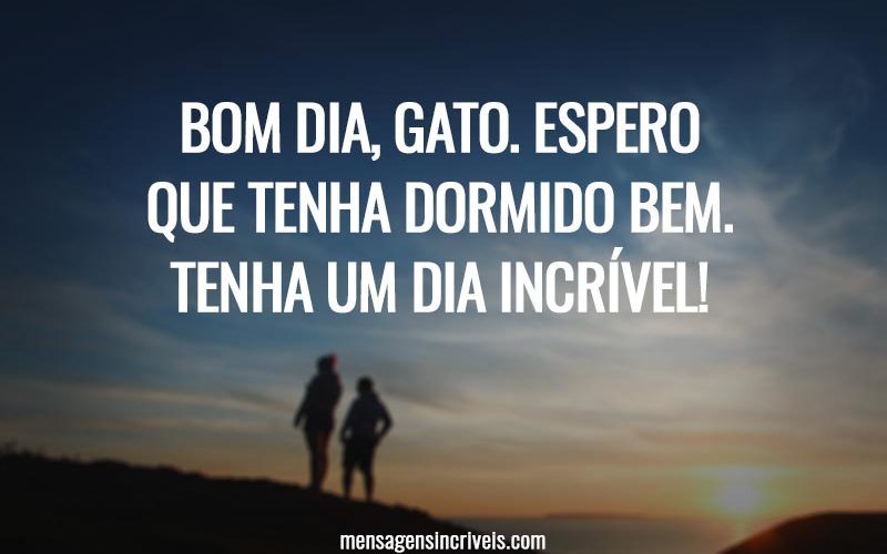 Bom dia, gato. Espero que tenha dormido bem. Tenha um dia incrível!