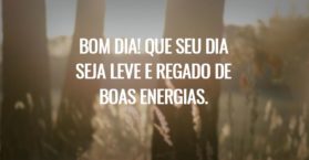 Bom dia! Que seu dia seja leve e regado de boas energias.