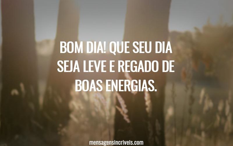 Bom dia! Que seu dia seja leve e regado de boas energias.