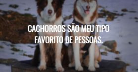 Cachorros são meu tipo favorito de pessoas.