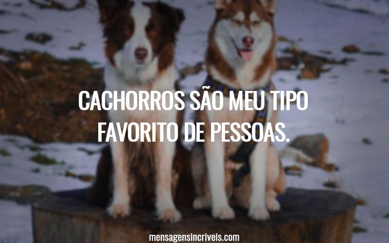 Cachorros são meu tipo favorito de pessoas.