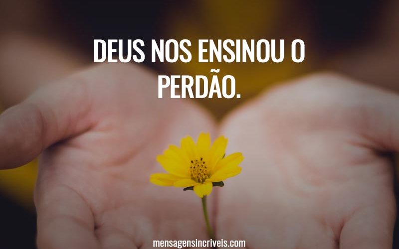 Deus nos ensinou o perdão.
