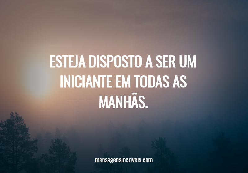 Esteja disposto a ser um iniciante em todas as manhãs.