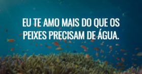 Eu te amo mais do que os peixes precisam de água.