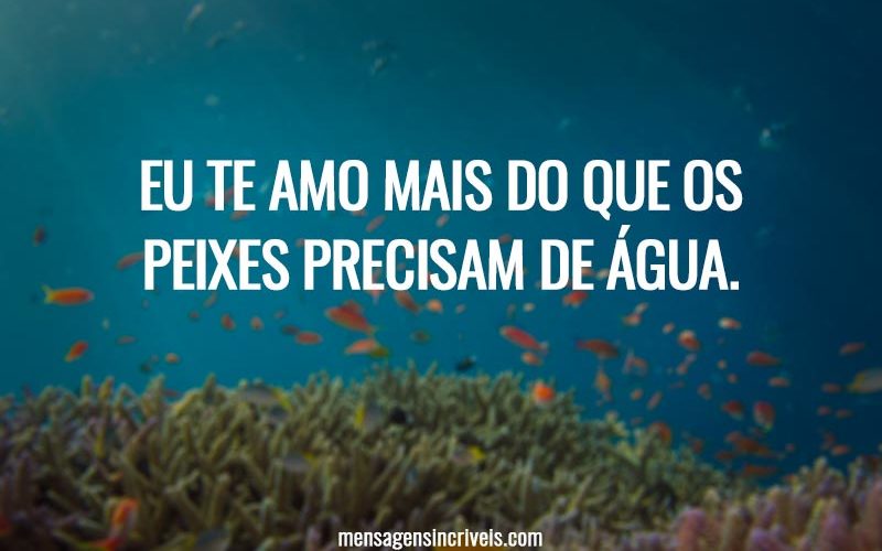 Eu te amo mais do que os peixes precisam de água.