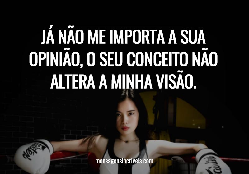 Já não me importa a sua opinião, o seu conceito não altera a minha visão.