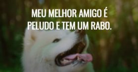 Meu melhor amigo é peludo e tem um rabo.