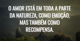 O amor está em toda a parte da natureza, como emoção, mas também como recompensa.