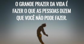 O grande prazer da vida é fazer o que as pessoas dizem que você não pode fazer.