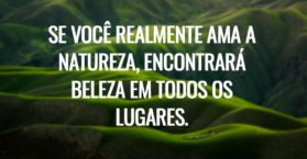 Se você realmente ama a natureza, encontrará beleza em todos os lugares.