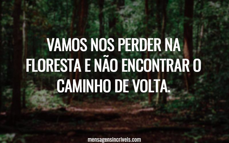 Vamos nos perder na floresta e não encontrar o caminho de volta.