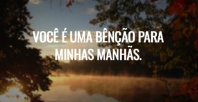 Você é uma bênção para minhas manhãs.