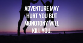 Adventure may hurt you but monotony will kill you.