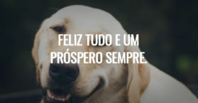 Feliz tudo e um próspero sempre.