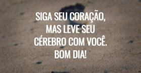 Siga seu coração, mas leve seu cérebro com você. Bom dia!