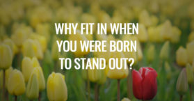 Why fit in when you were born to stand out?